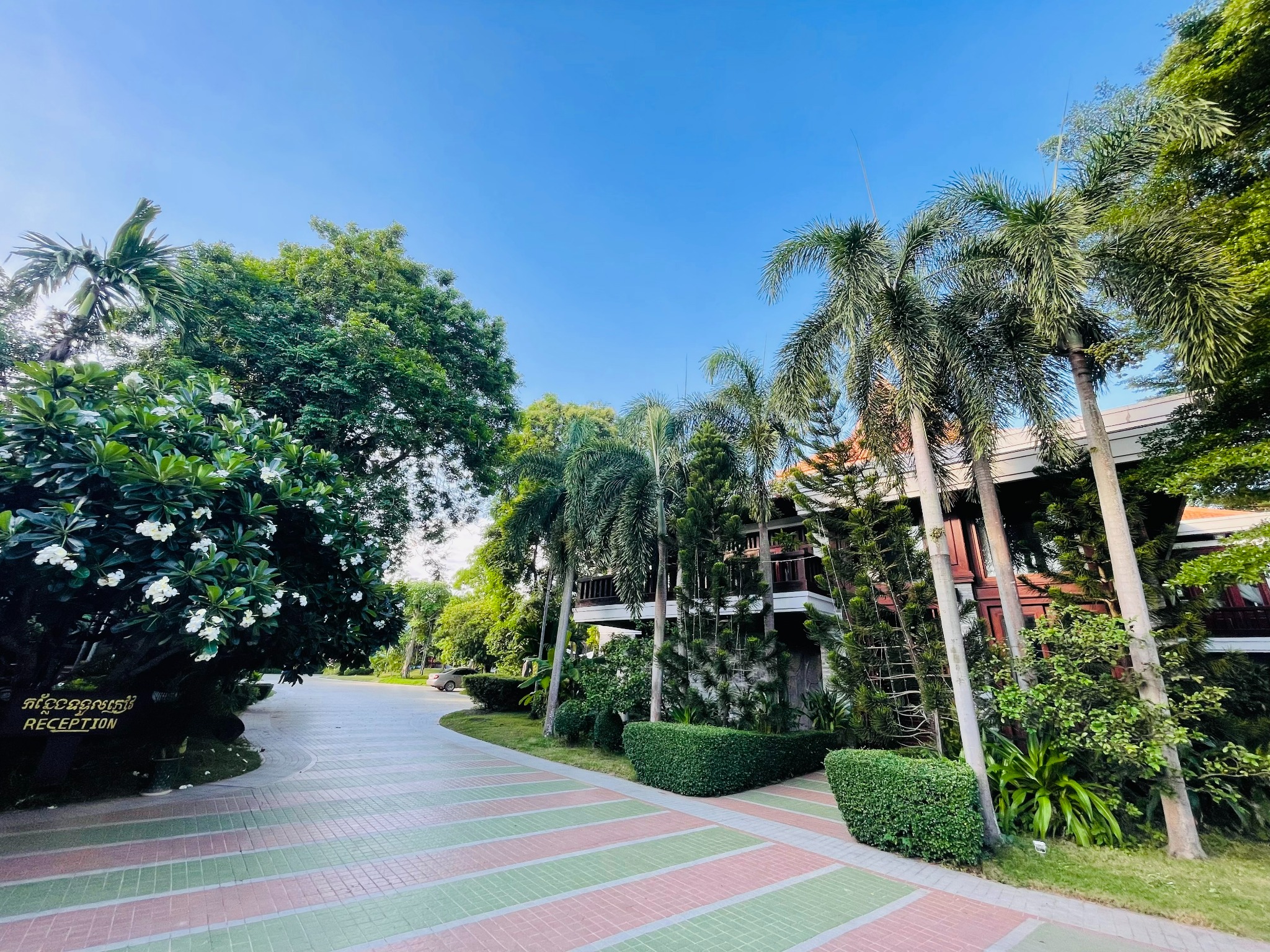 Try Palace Resort Kep driveway and palm trees